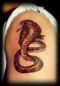 King cobra tattoo