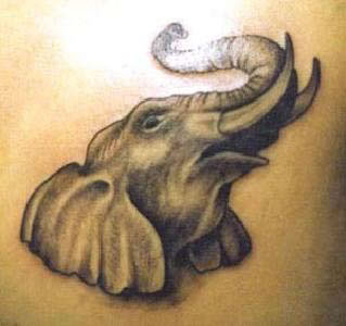 Elephant tattoo