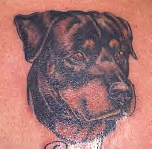 Rottweiler tattoo