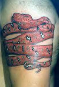 Red snake tattoo