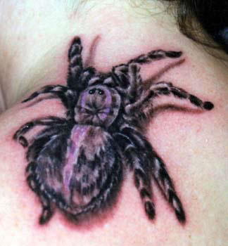 Tarantula tattoo