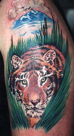 Tiger tattoo