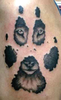Wolfsgesicht tattoo