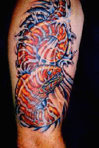 Moray Tattoo