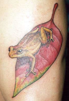 Yellow Frog Tattoo