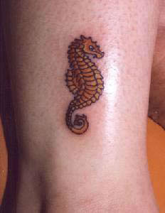 Seahorse Tattoo