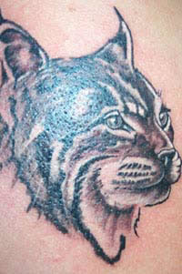 Wildcat tattoo
